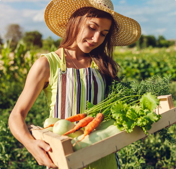 verduras ecológicas